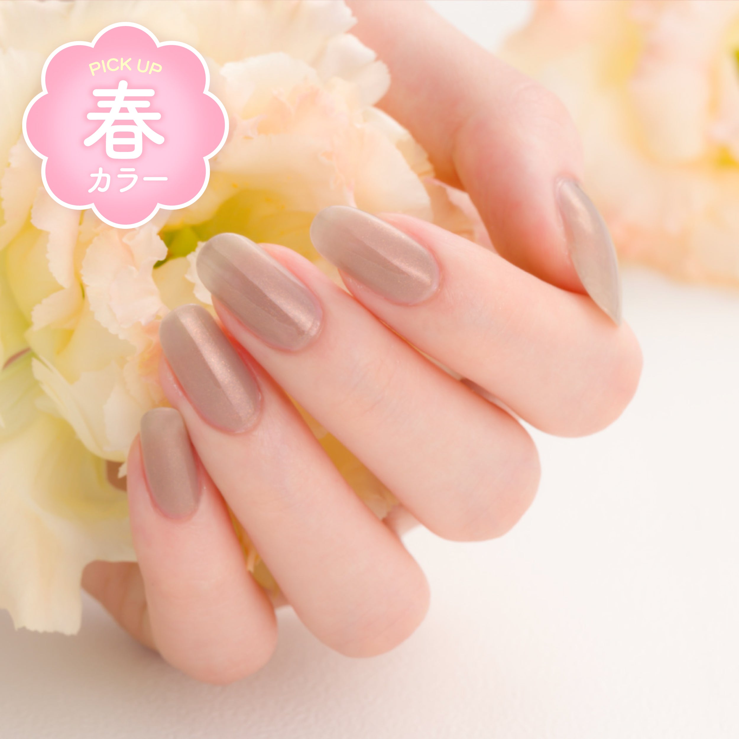 20SS_recommend_color_133.jpg?v