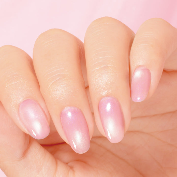 【マグネティズム数量限定】2026SS限定カラー4色セット