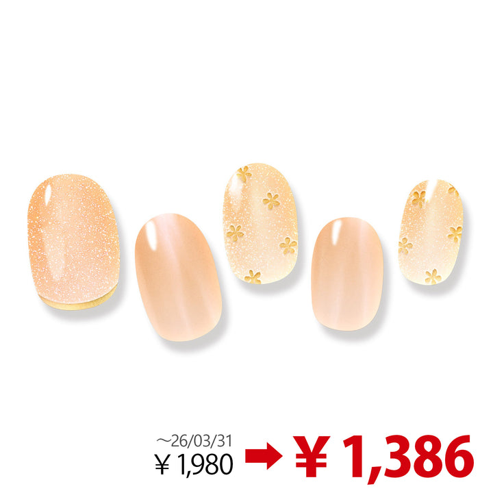 【30%OFF】ジェルミーペタリー 10 ペルレ