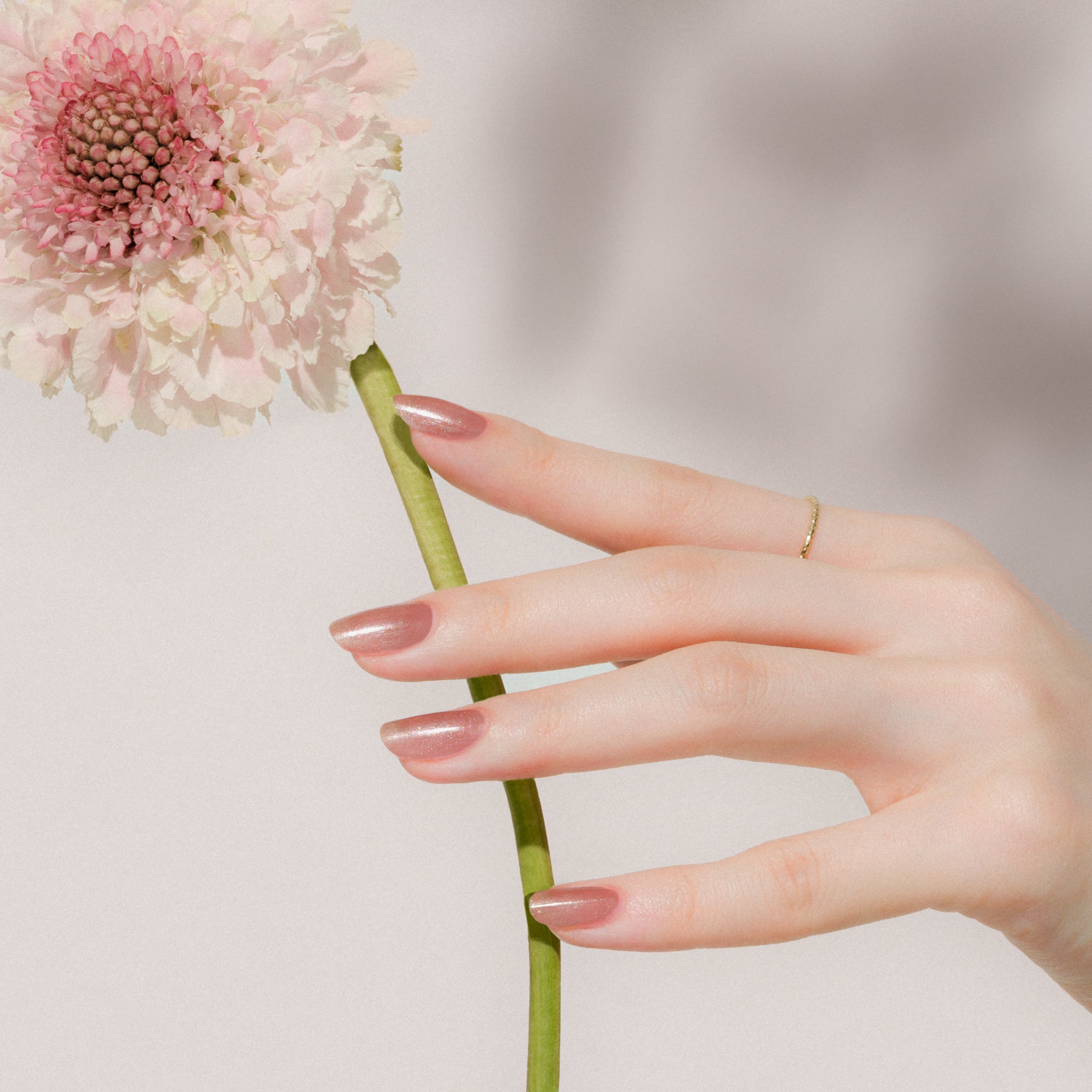 2025秋新色【ジーニッシュマニキュア】153 ハーモニー（上品なローズ