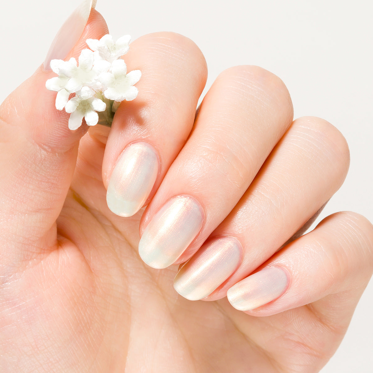 genish manicure（ジーニッシュマニキュア） – コスメ・デ