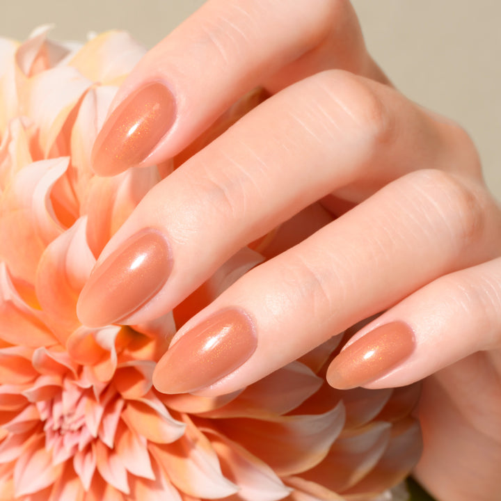 ジェルミーワン〈特別セレクト〉おしゃれカラー3色セット