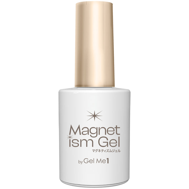 【マグネティズム数量限定】2026SS限定カラー4色セット